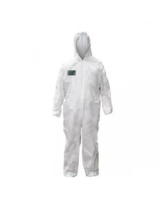 MACACAO PINTURA STEELGEN BR M DANNY CA 20662