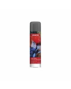 SPRAY ETANIZ 400ml CINZA